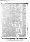 Tunbridge Wells Standard Friday 29 January 1886 Page 8