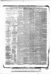 Tunbridge Wells Standard Friday 12 February 1886 Page 4