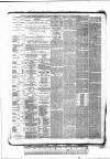 Tunbridge Wells Standard Friday 19 February 1886 Page 4