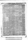 Tunbridge Wells Standard Friday 26 February 1886 Page 7