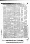 Tunbridge Wells Standard Friday 05 March 1886 Page 3