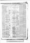 Tunbridge Wells Standard Friday 05 March 1886 Page 4