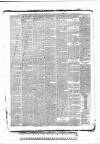 Tunbridge Wells Standard Friday 05 March 1886 Page 5