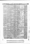 Tunbridge Wells Standard Friday 05 March 1886 Page 8
