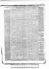 Tunbridge Wells Standard Friday 12 March 1886 Page 3