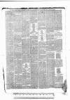 Tunbridge Wells Standard Friday 12 March 1886 Page 7