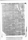 Tunbridge Wells Standard Friday 12 March 1886 Page 8