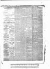 Tunbridge Wells Standard Friday 16 April 1886 Page 4