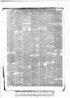Tunbridge Wells Standard Friday 16 April 1886 Page 5
