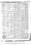 Tunbridge Wells Standard Friday 01 October 1886 Page 4