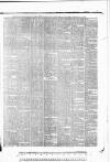 Tunbridge Wells Standard Friday 05 November 1886 Page 7