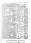 Tunbridge Wells Standard Friday 19 November 1886 Page 8
