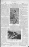 The Graphic Saturday 13 January 1894 Page 19