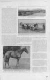 The Graphic Saturday 17 September 1904 Page 7
