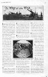 The Graphic Saturday 29 July 1916 Page 5