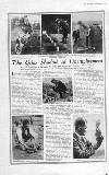 The Graphic Saturday 01 January 1921 Page 8