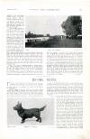 Country Life Saturday 21 August 1897 Page 23