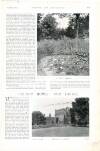Country Life Saturday 25 September 1897 Page 19