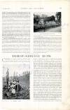 Country Life Saturday 16 October 1897 Page 19