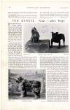 Country Life Saturday 20 November 1897 Page 18