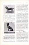 Country Life Saturday 18 December 1897 Page 20