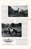 Country Life Saturday 29 January 1898 Page 37