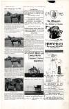 Country Life Saturday 05 February 1898 Page 5