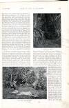 Country Life Saturday 05 February 1898 Page 11