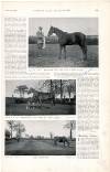 Country Life Saturday 05 February 1898 Page 33
