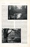 Country Life Saturday 05 February 1898 Page 37