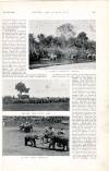 Country Life Saturday 12 February 1898 Page 11