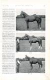 Country Life Saturday 12 February 1898 Page 31