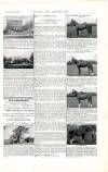 Country Life Saturday 19 February 1898 Page 5