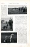 Country Life Saturday 26 February 1898 Page 19