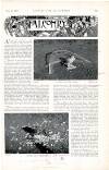 Country Life Saturday 05 March 1898 Page 33