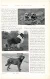 Country Life Saturday 26 March 1898 Page 37