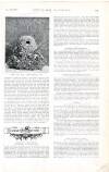 Country Life Saturday 16 April 1898 Page 39