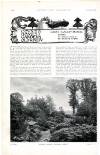 Country Life Saturday 06 August 1898 Page 26