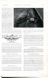 Country Life Saturday 20 August 1898 Page 23