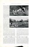 Country Life Saturday 27 August 1898 Page 14
