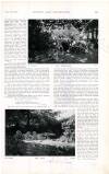 Country Life Saturday 10 September 1898 Page 25