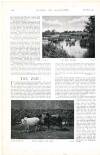 Country Life Saturday 24 September 1898 Page 42