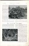 Country Life Saturday 08 October 1898 Page 23