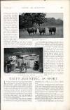 Country Life Saturday 22 October 1898 Page 23