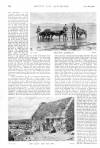 Country Life Saturday 29 October 1898 Page 19