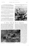 Country Life Saturday 29 October 1898 Page 24