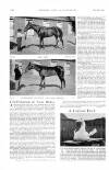 Country Life Saturday 29 October 1898 Page 41