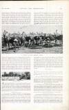 Country Life Saturday 19 November 1898 Page 23