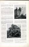 Country Life Saturday 03 December 1898 Page 25