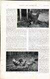 Country Life Saturday 31 December 1898 Page 16